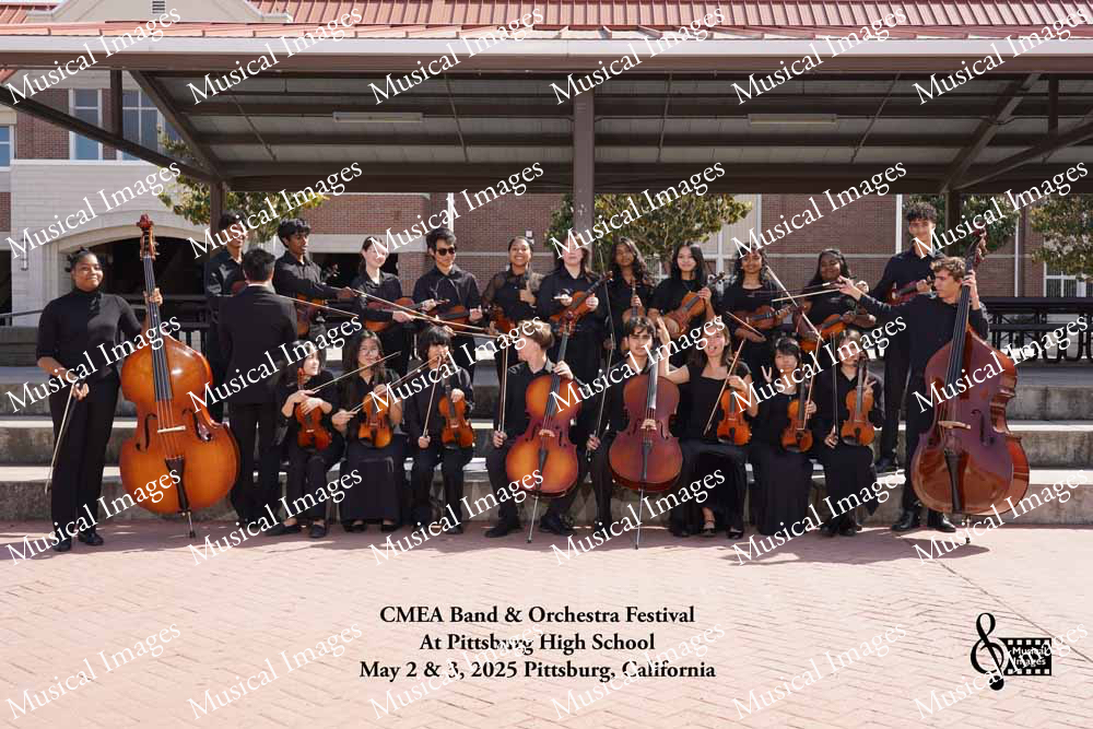 Musical Images